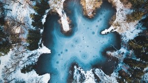 池、冬、雪、氷、木、オランダ