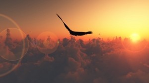pájaro, vuelo, sol, resplandor, nubes, libertad, altura - wallpapers, picture