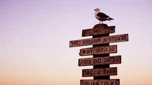 bird, sign, background - wallpapers, picture