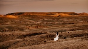 desert, girl, silhouette, landscape, hills