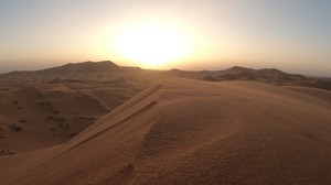 desert, dunes, sand, sunset, wildlife