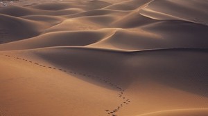 沙漠，沙丘，沙子，脚印，风景