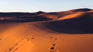 desert, sand, footprints, morocco