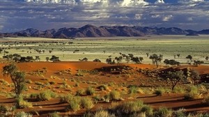 deserto, alberi, sabbia, piante, montagne