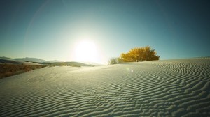 desierto, arena, árbol, tarde, puesta de sol