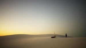 砂漠、砂、旅行者、夕方、日没