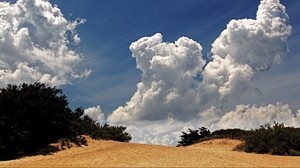 desert, vegetation, sky, clouds