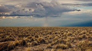 desert, vegetation, clouds, clouds, before the rain - wallpapers, picture