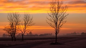 dawn, trees, fog, clouds, landscape - wallpapers, picture