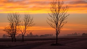 alba, alberi, nebbia, nuvole, paesaggio