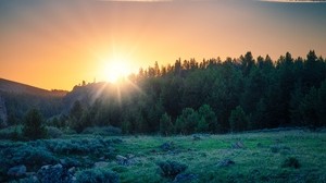 dawn, forest, mountains, landscape, sunlight - wallpapers, picture