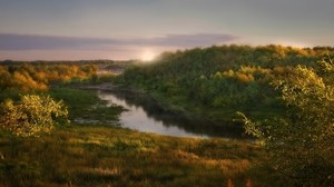 dawn, sun, light, morning, trees, forest, coast, grass, shrubs, awakening