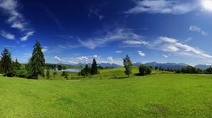 llanura, árboles, prado, verano, calor, verde, cielo, soleado