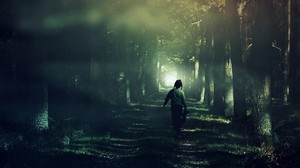 bambino, foresta, nebbia, camminare