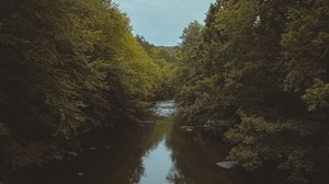 river, trees, water, nature, landscape