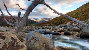 river, tree, dead, driftwood, stones, mountains, clouds, murmur
