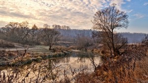 flod, träd, himmel, hdr