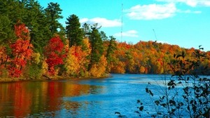 河流，树木，秋天，路线