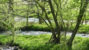 river, trees, nature - wallpapers, picture