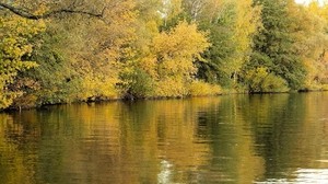 río, árboles, hierba, otoño, reflejo