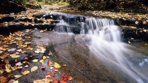 river, mountain, water, stream, leaves, autumn