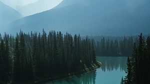 river, mountains, forest, fog, landscape - wallpapers, picture