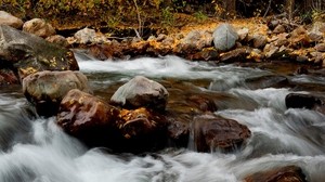 river, stones, leaves - wallpapers, picture