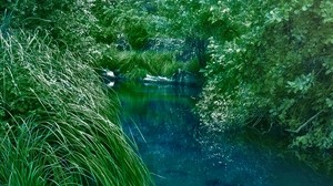 river, bushes, grass, nature - wallpapers, picture