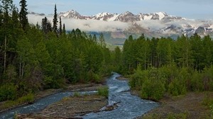 río, bosque, montañas, niebla, nubes, verde, murmullo