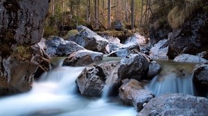 river, forest, stones, nature