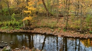 river, forest, autumn, leaves, stones, banks, reflection, ripples
