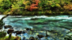 fiume, foresta, ruscello, ruscello, colori, pietre, muschio, trasparente, acqua