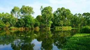 river, summer, trees, reflection