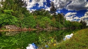 river, summer, sun, grass, trees - wallpapers, picture