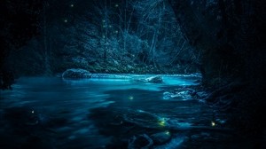 river, night, trees, light, stones