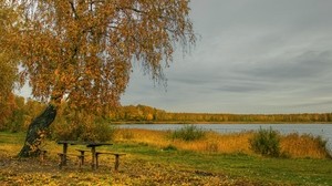 río, otoño, árboles, mesa, banco