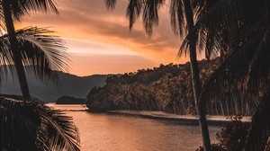 river, palm trees, dusk, landscape, tropical