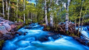 río, corriente, flujo, piedras, árboles, brillante, contraste - wallpapers, picture