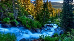 river, stream, flow, stones, grass, trees, twilight, evening, murmur