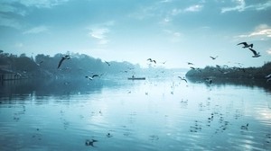 river, birds, flock, fly, sky, boat, reflection