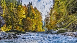 river, flow, trees, autumn