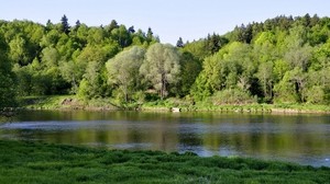 river, grass, trees, shore - wallpapers, picture
