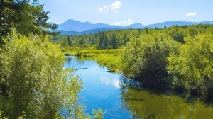 river, grass, trees, sky