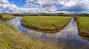 river, grass, canal, field, sunny