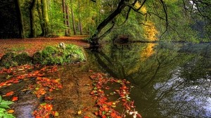 río, hierba, hojas, árboles - wallpapers, picture