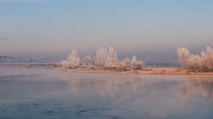 flod, dimma, strand, träd, buskar