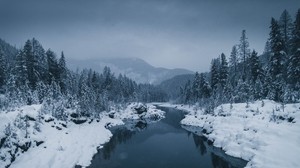 river, fog, snow, winter, trees