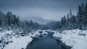 río, niebla, nieve, invierno, árboles