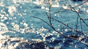 river, branch, current - wallpapers, picture