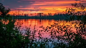 flod, solnedgång, horisont, grenar, blad, oskärpa - wallpapers, picture